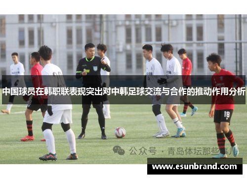 中国球员在韩职联表现突出对中韩足球交流与合作的推动作用分析
