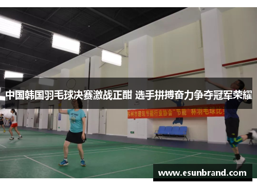 中国韩国羽毛球决赛激战正酣 选手拼搏奋力争夺冠军荣耀