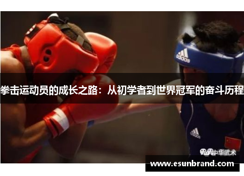 拳击运动员的成长之路：从初学者到世界冠军的奋斗历程
