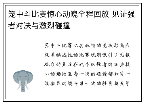 笼中斗比赛惊心动魄全程回放 见证强者对决与激烈碰撞