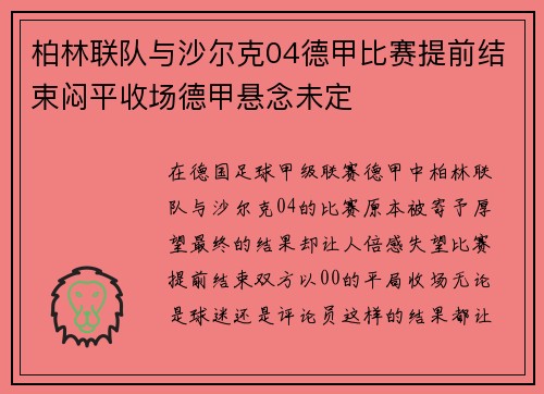 柏林联队与沙尔克04德甲比赛提前结束闷平收场德甲悬念未定